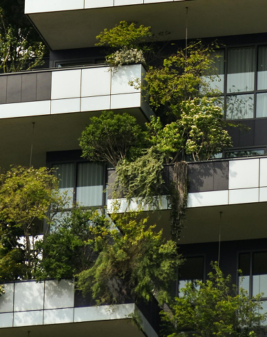 Lush greenery on a modern building